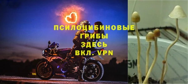 дживик Алексин
