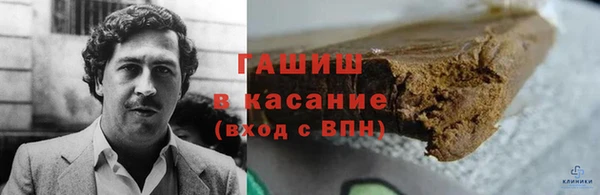 стаф Алзамай