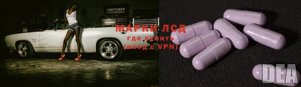 стаф Алзамай