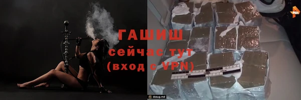 стаф Алзамай