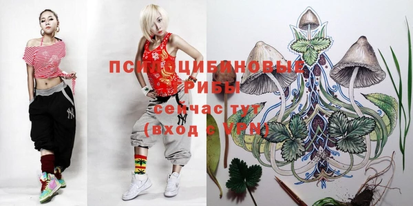 дживик Алексин