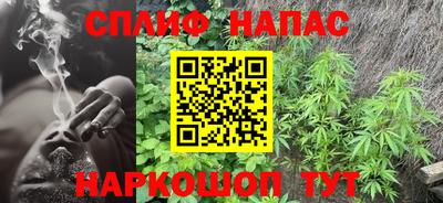 стафф Шебекино