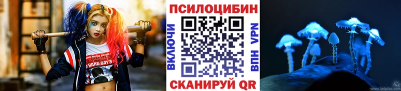 магазин    блэк спрут зеркало  Галлюциногенные грибы Cubensis  Осинники 