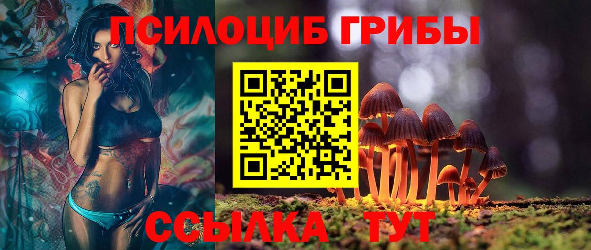 Псилоцибиновые грибы MAGIC MUSHROOMS Осинники