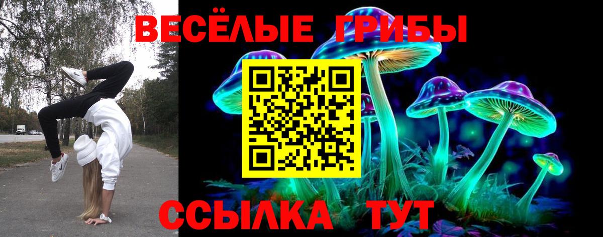 Гашиш Осинники