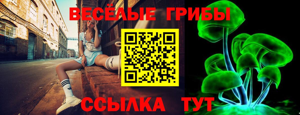 Галлюциногенные грибы мухоморы  Вход с VPN  Осинники 